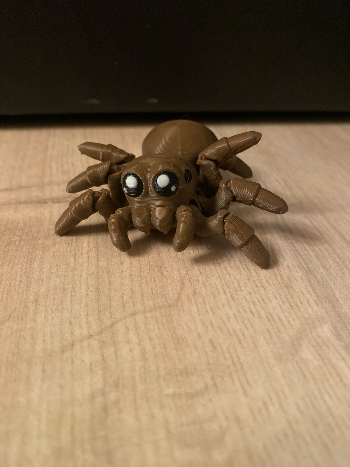 Spider
