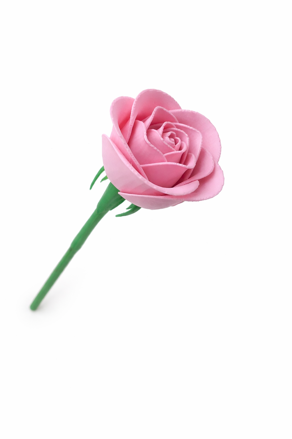 Single Rose