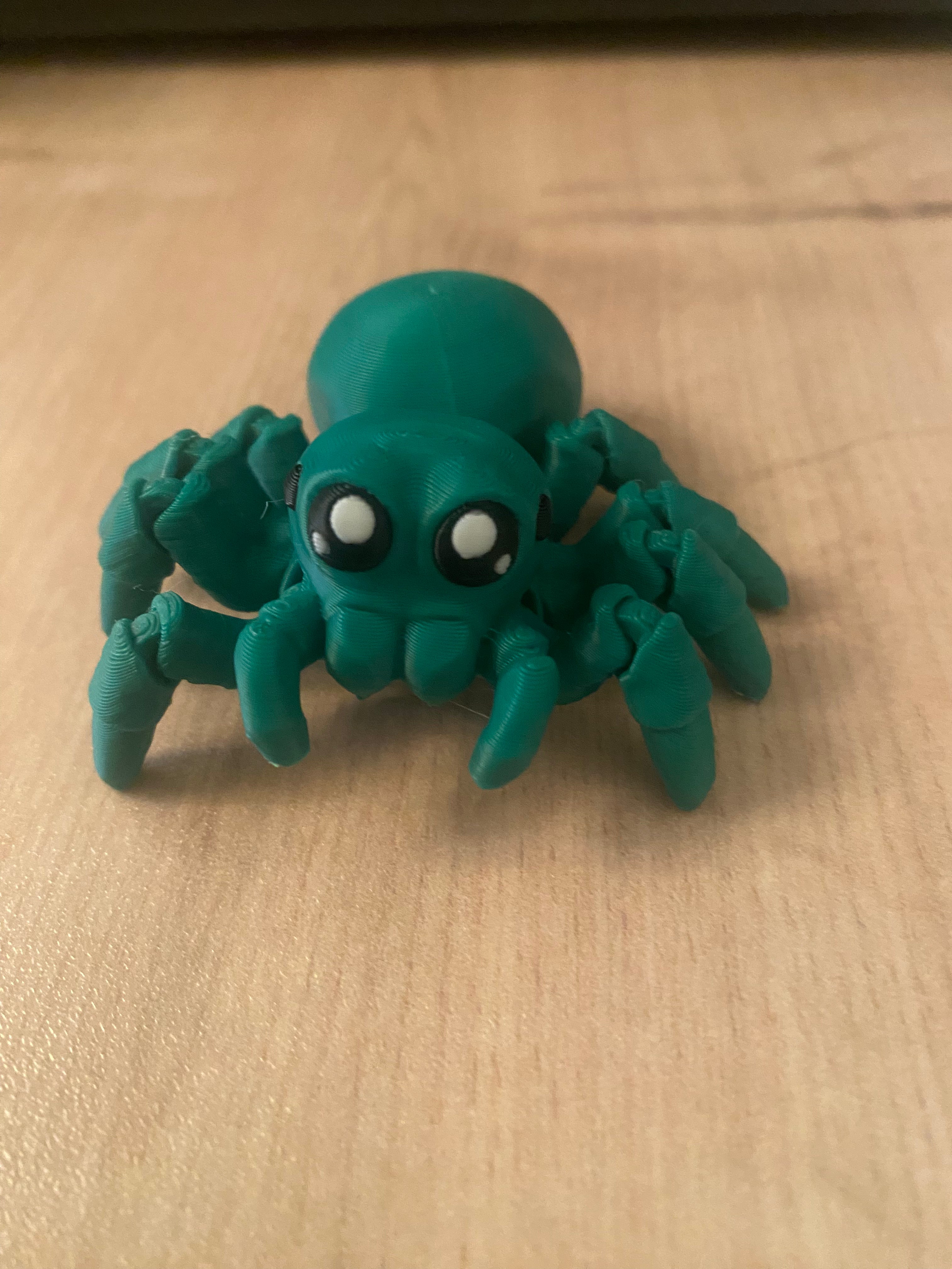 Spider