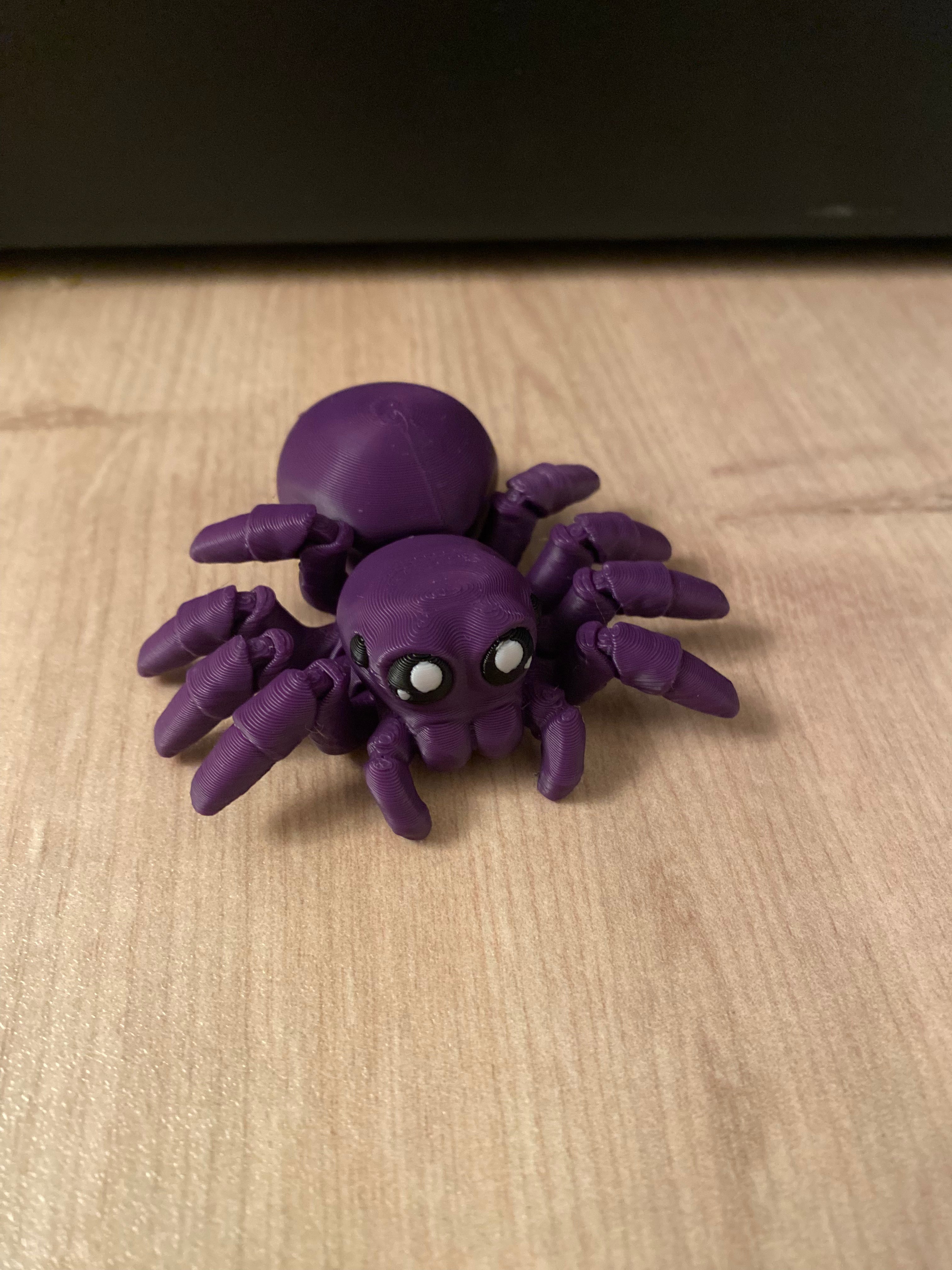 Spider