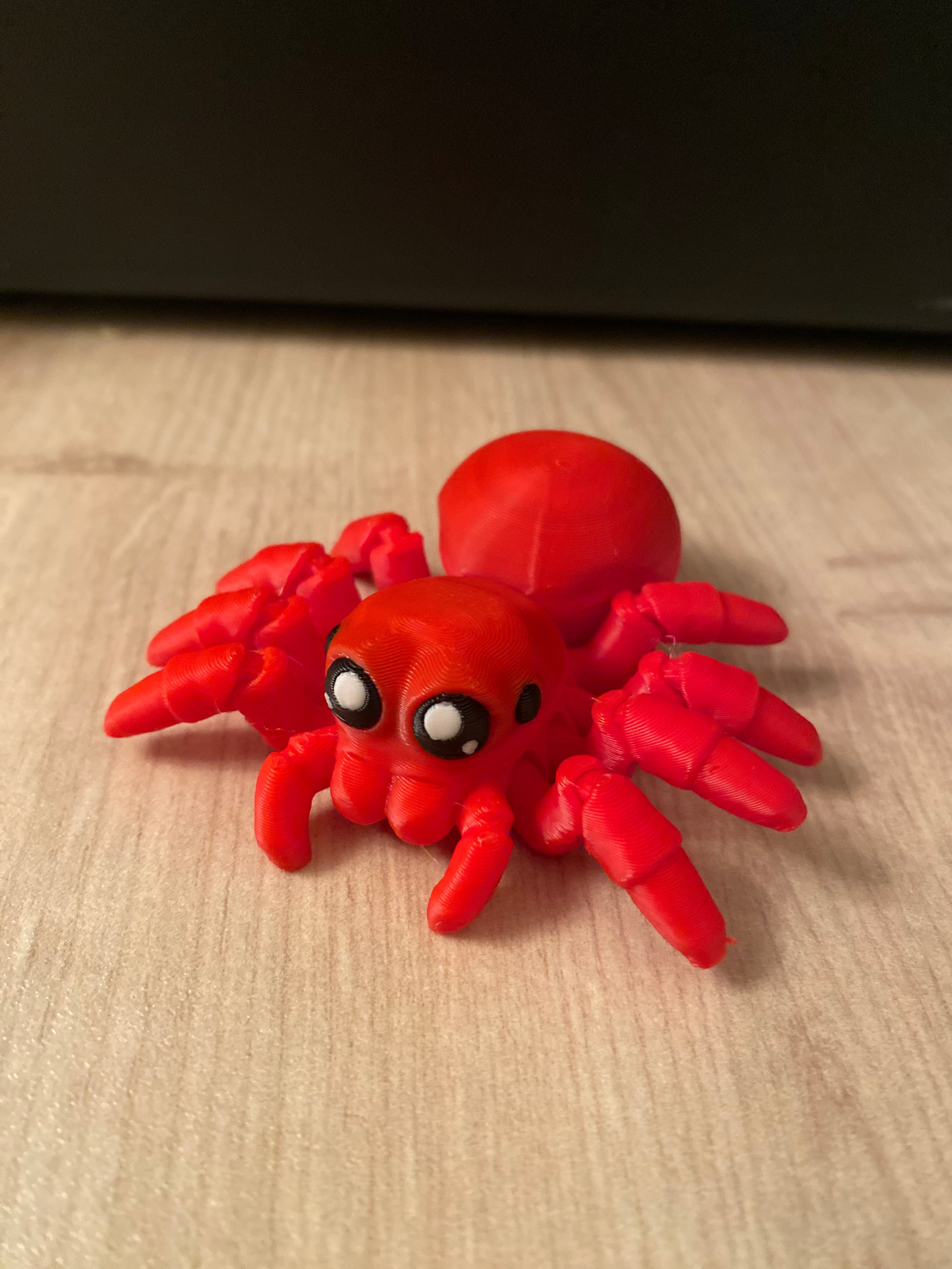 Spider