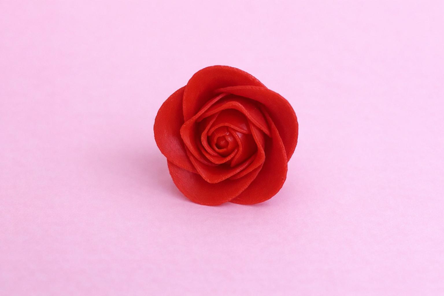 Single Rose