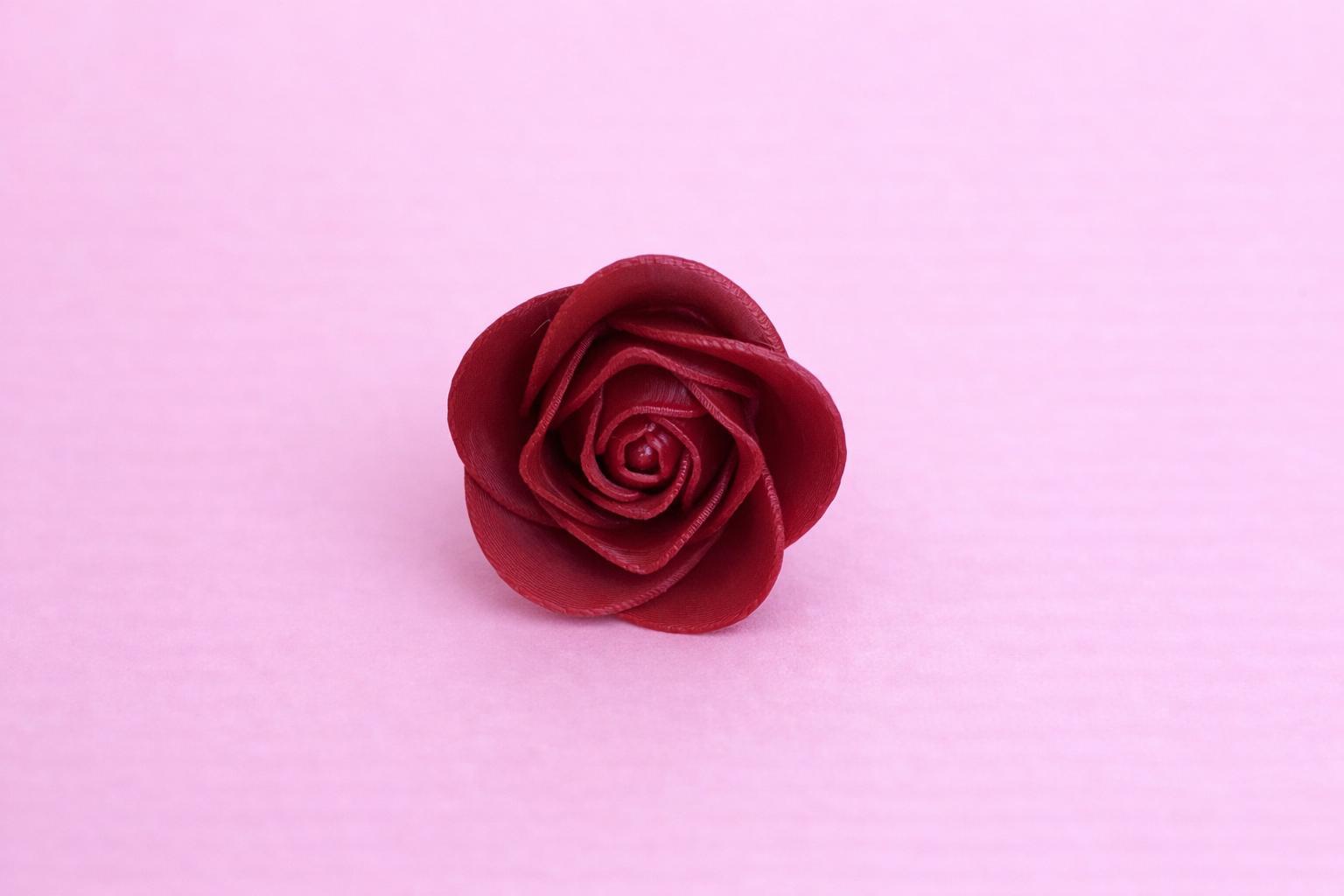 Single Rose